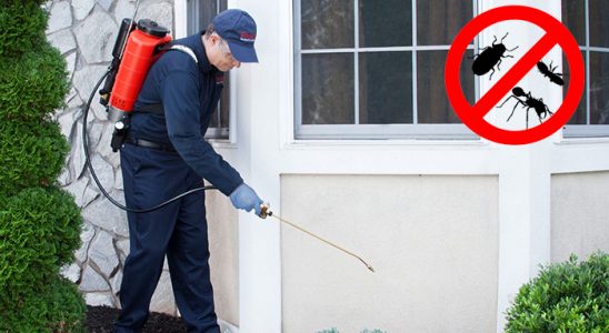 Yüksekova Hamam Böceği İlaçlama böcek ilaçlama ve haşere kontrolü — ilaclama-tr.com